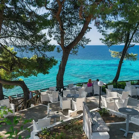 Mint - Sea And Nature Horizon